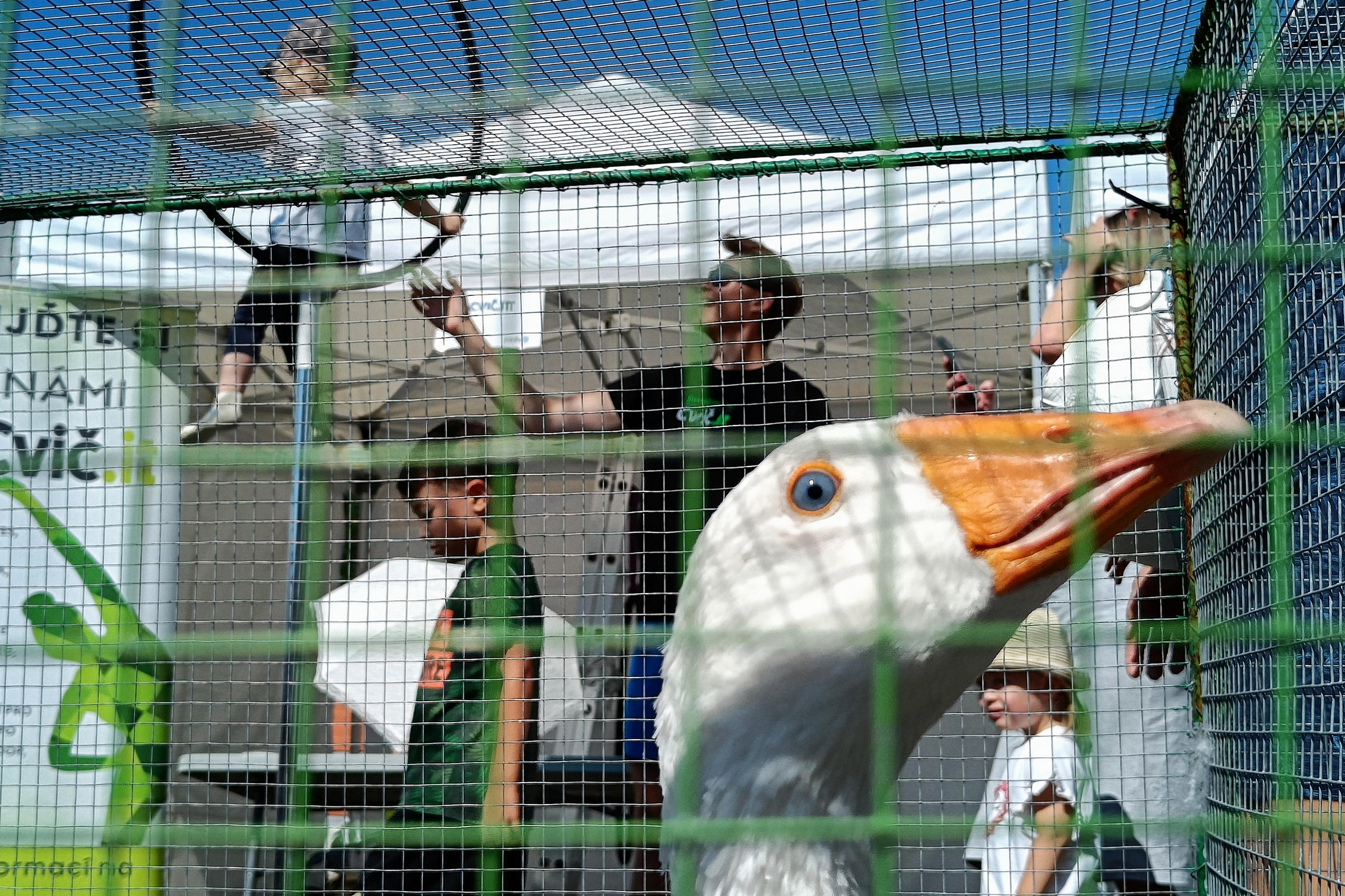 Fotografická reportáž